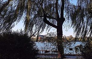 2023 11 PEKIN - PARC BEIHAI (18)